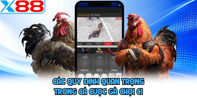 Gà Chọi C1 - Sới Gà Trực Tuyến Đẳng Cấp Và Uy Tín Tại X88 - SPINMEADOW.GARDEN