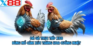 Đá Gà X88 - Phô Diễn Sức Mạnh, Khuấy Đảo Mọi Đấu Trường - SPINMEADOW.GARDEN