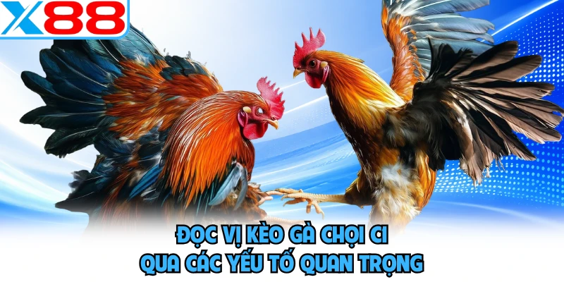 Gà Chọi C1 - Sới Gà Trực Tuyến Đẳng Cấp Và Uy Tín Tại X88 - SPINMEADOW.GARDEN