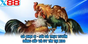 Đá Gà X88 - Phô Diễn Sức Mạnh, Khuấy Đảo Mọi Đấu Trường - SPINMEADOW.GARDEN