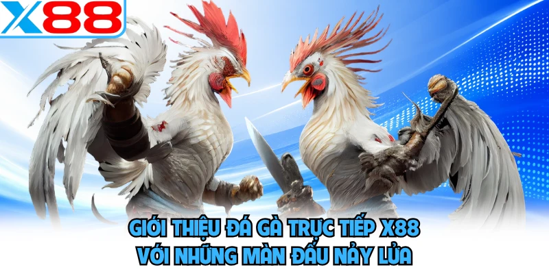 Đá Gà Trực Tiếp X88 - Bùng Nổ Cảm Xúc Thăng Hoa Cuồng Nhiệt - SPINMEADOW.GARDEN